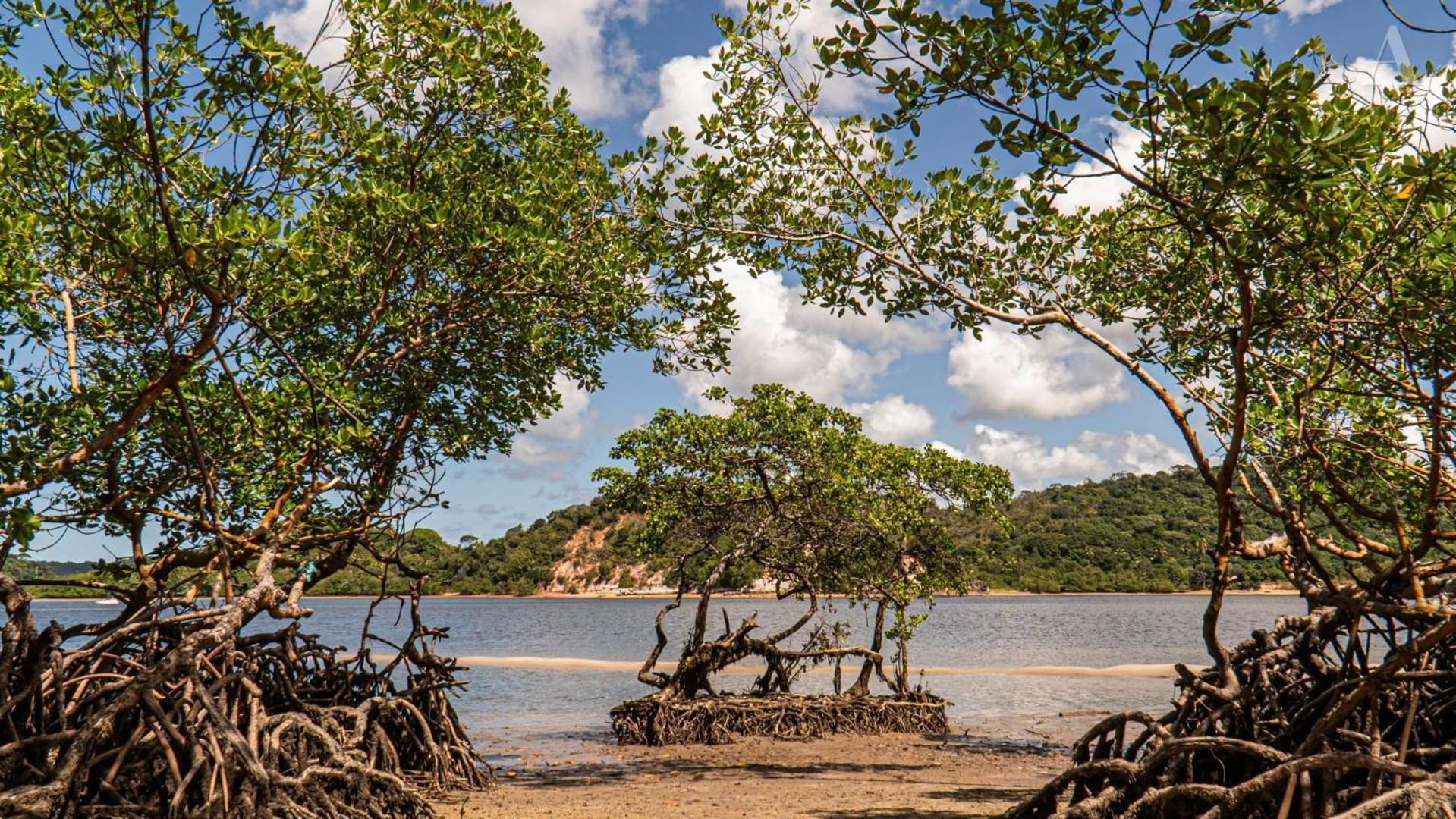 Pousada Recanto Sol Nascente, Luxo E Proximidade Com A Natureza Hotel Rio Formoso Ngoại thất bức ảnh